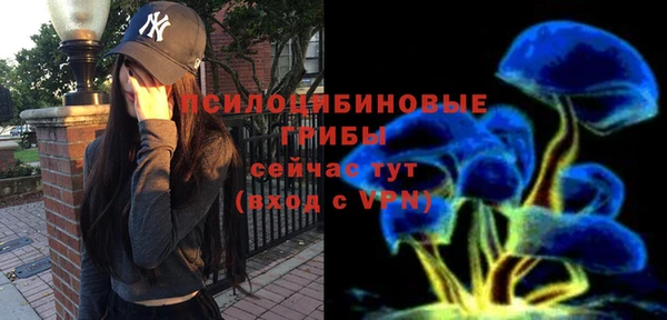 шишки Балахна