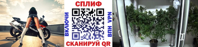 Шишки марихуана ГИДРОПОН  Купить  Мензелинск 